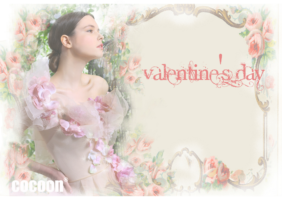 2014-valentine- day-promotion